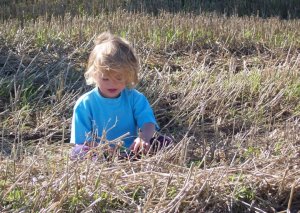 30455_413443850368_4069920_n